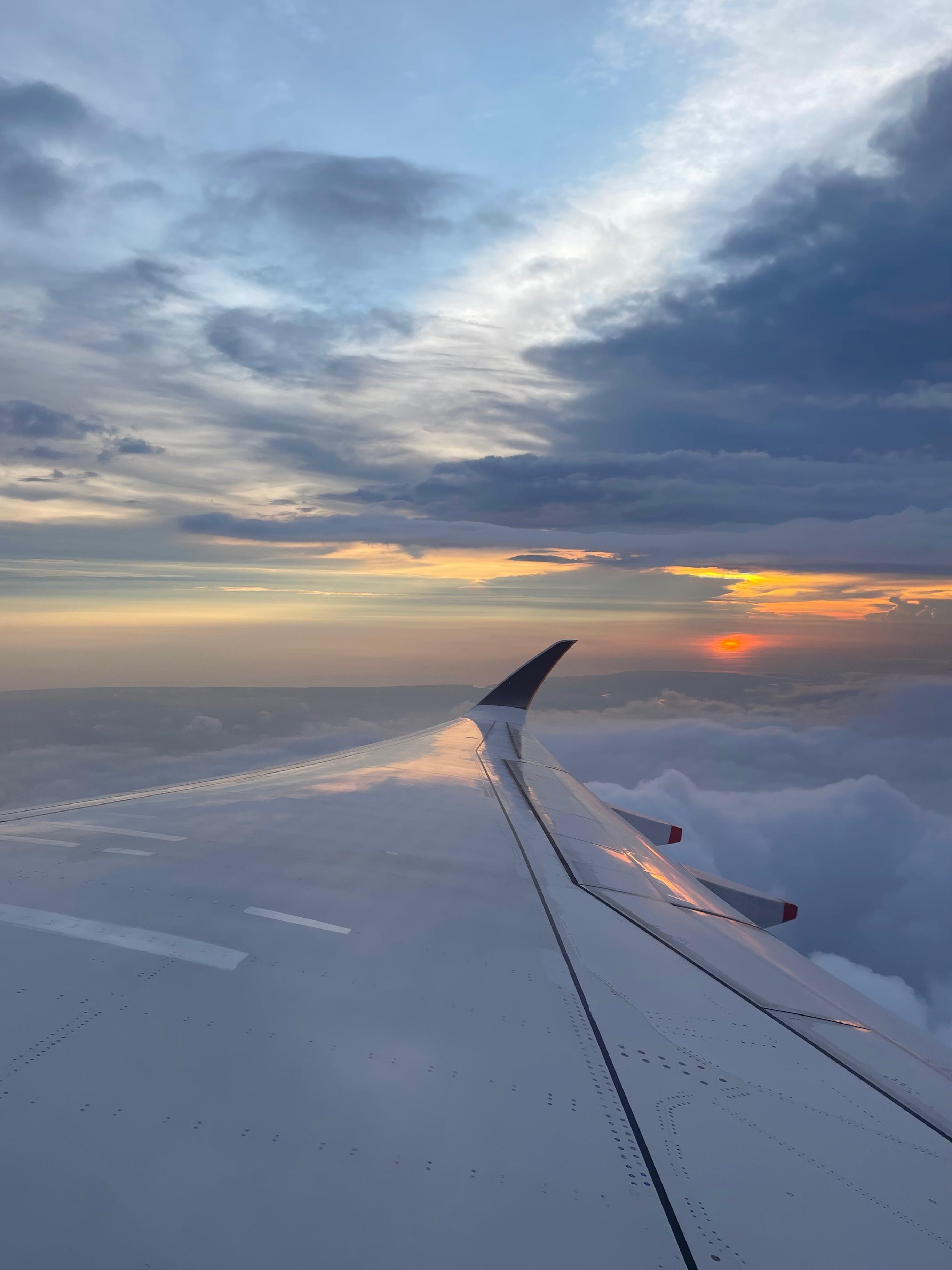 Flight view