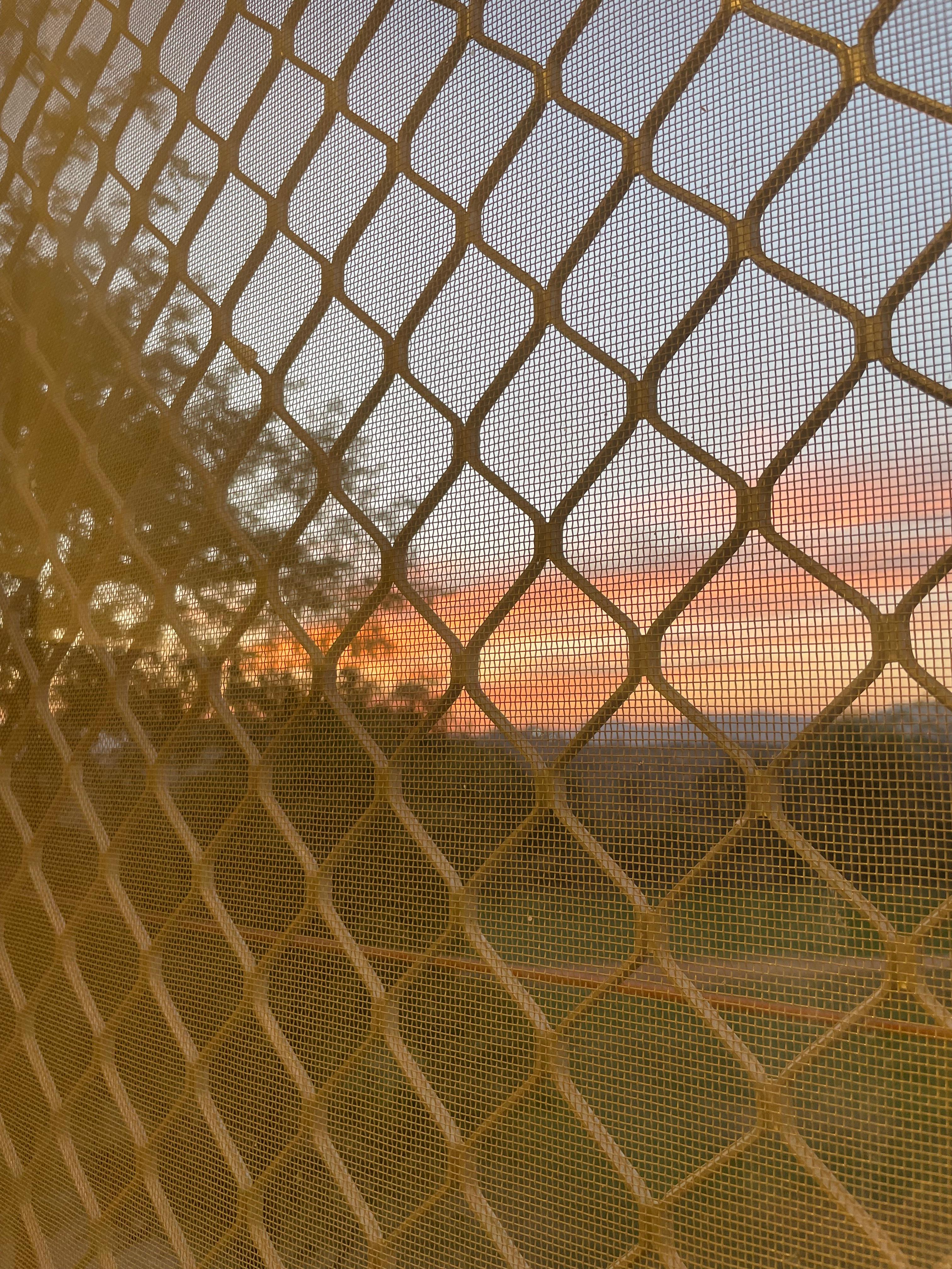 Sunset through mesh window